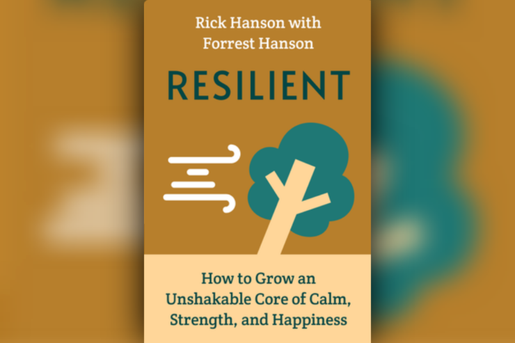 Book Review Resilient By Rick Hanson Guide To Reads