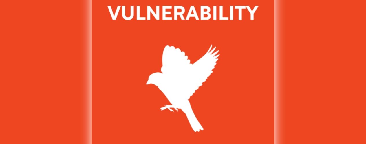 The Power of Vulnerability | guide to reads